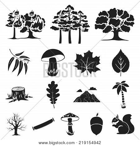 Forest and nature black icons in set collection for design. Forest life vector symbol stock  illustration.