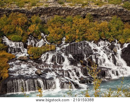 Iceland, green and orange leaves under waterfall