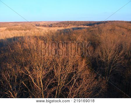 View of the landscape at Forest Glen Nature Preserve in Illinos
