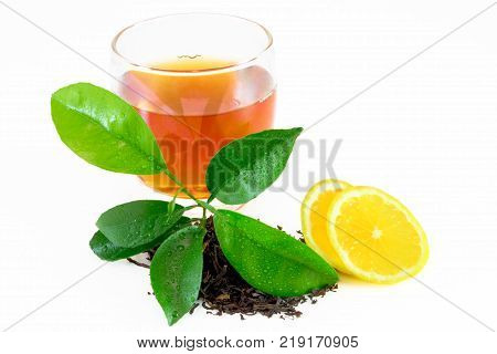 Citrus Leaves With Drops Isolated On A White Background. Collection. Full Depth Of Field.