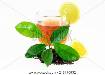 Citrus Leaves With Drops Isolated On A White Background. Collection. Full Depth Of Field.