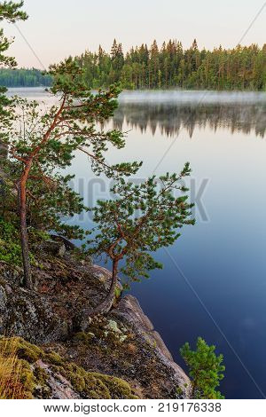 Morning landscape with fog on a forest lake