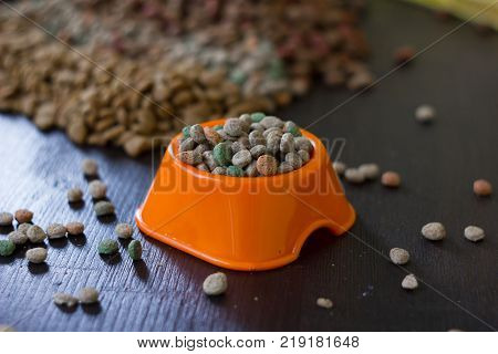 Plastic bowl with dry pet food on black wooden board