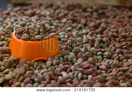 Orange plastic bowl filled with dry pet food surrounded by dry food for cat and dogs