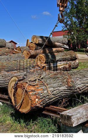 A cable extended from  a boom is attached to a heavy log allowing it to be transported to the sawmill.