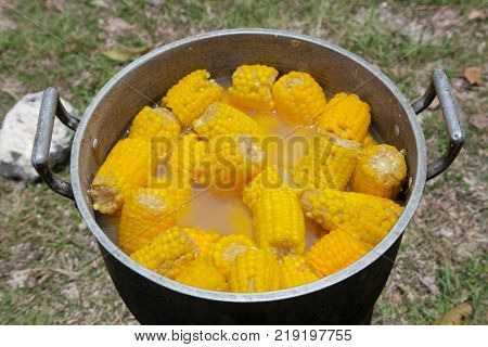 Steamed fresh corn with stick  boiling (sweet maize, vegetables) on the streeet of Cebu city. Philippines.