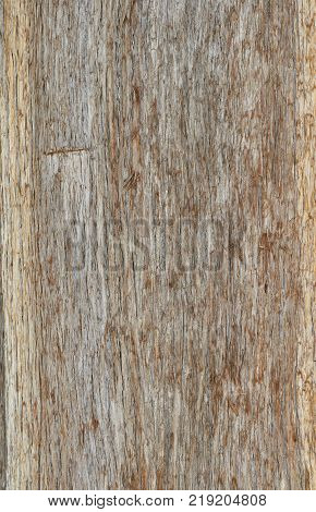 Dark wood texture background surface with old natural pattern or dark wood texture table top view. Grunge surface with wood texture background. Vintage timber texture background. Rustic table top view