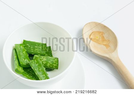 Aloe vera in white container.Aloe vera use in spa for skincare and cosmetic.Aloe vera cosmetic cream in product container with glass bottle on white background. Skin face and body care hygiene anti wrinkle lotion wellness dermatology medicine therapy trea