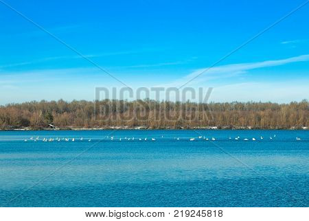 Beautiful landscape in coutryside, lake in Garešnica, Croatia