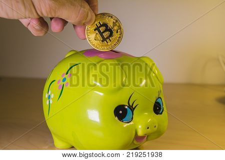 A green piggy bank with a golden bitcoin. Economical and financial concept involving cryptocoins, investment and savings