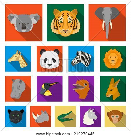 Wild animal flat icons in set collection for design. Mammal and bird vector symbol stock  illustration.