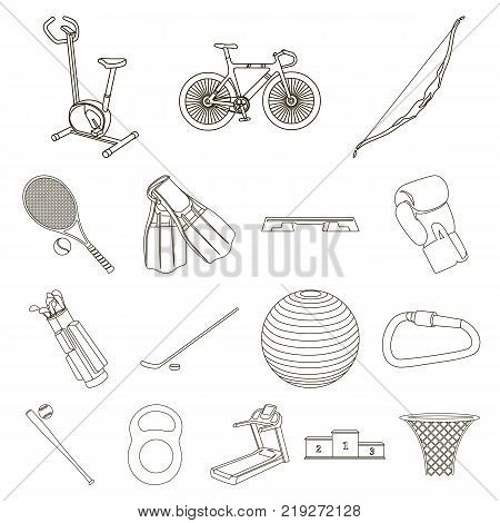 Different kinds of sports outline icons in set collection for design. Sport equipment vector symbol stock  illustration.