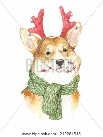 Image of a dog with horns, skarf and candy. The detailed drawing is executed by a brush on a paper in a classical style.