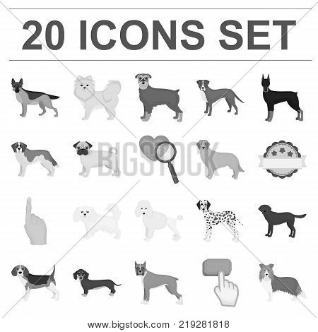 Dog breeds monochrome icons in set collection for design.Dog pet vector symbol stock  illustration.