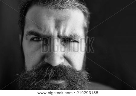 Bearded Surprised Man With Mustache