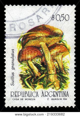 ARGENTINA - CIRCA 1994: a stamp printed in the Argentina shows Suillus granulatus is a pored mushroom of the genus Suillus, series mushrooms, circa 1994
