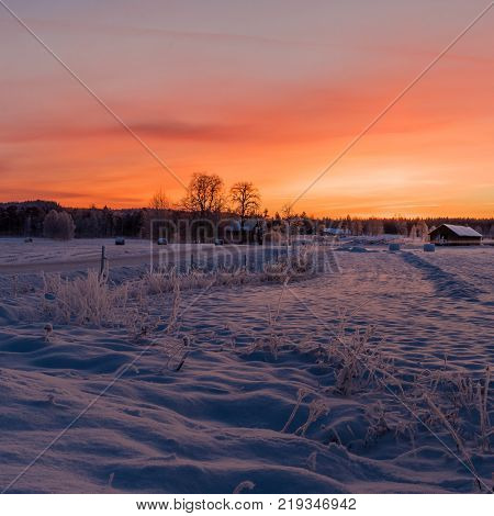 Sunset over a snowy and cold varmland in Sweden