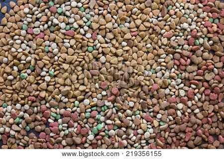 Dry pet food background - a lot of pieces of food in flat position.