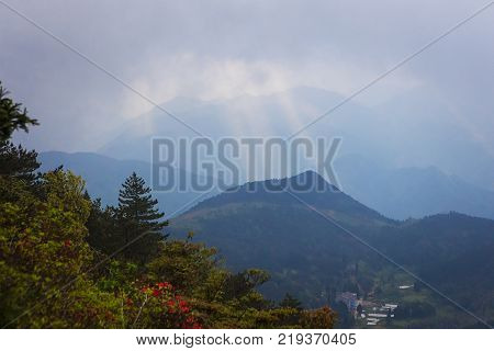 Fogly morning in spring chineese mountain. Wenzhou, Zhejiang province, China
