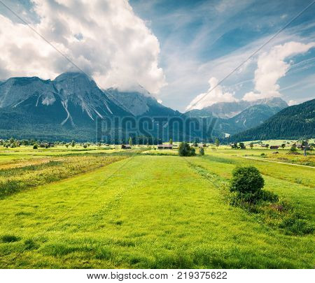 Green meadow on the Golf club Zugspitze Lermoos village loccation. Colorful summer morning in Austrian Alps Reutte district state of Tyrol Austria Europe. Green filter toned.