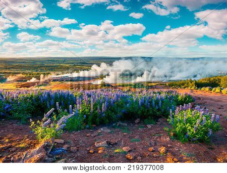 Erupting of the Great Geysir lies in Haukadalur valley on the slopes of Laugarfjall hill. Foggy summer morning in Southwestern Iceland Europe. Artistic style post processed photo.
