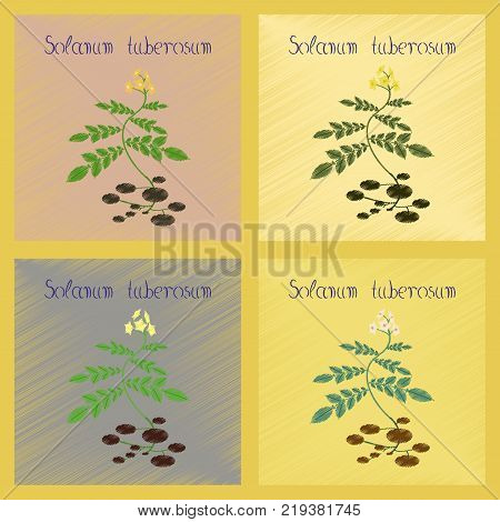 assembly flat shading style Illustrations of plant Solanum