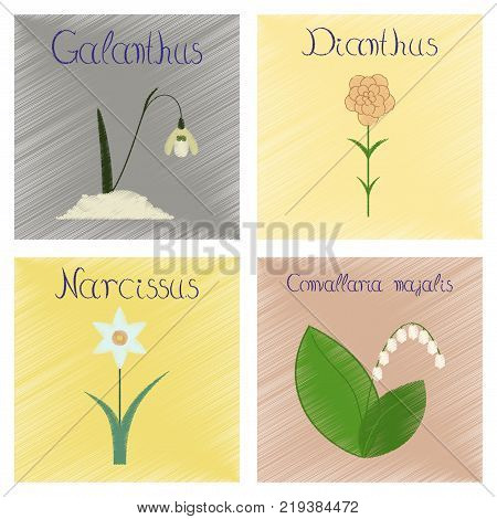 assembly flat shading style Illustrations of Convallaria Narcissus Dianthus Galanthus