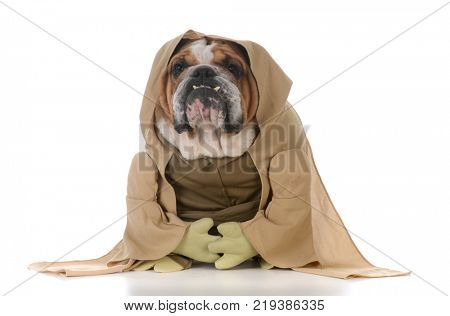 bulldog wearing munk costume on white backgroun