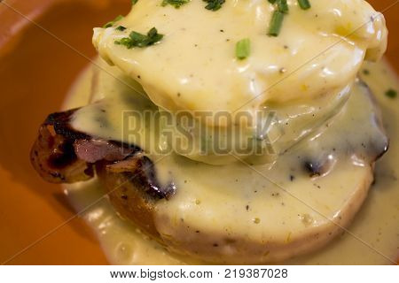 Beagle Delicious Food With Cream Cheese And Avocado