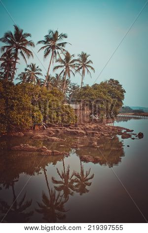 Dark silhouettes of palm trees and amazing cloudy sky on sunset at tropical island in Indian Ocean. Coconut Tree with Beautiful and romantic sunset.