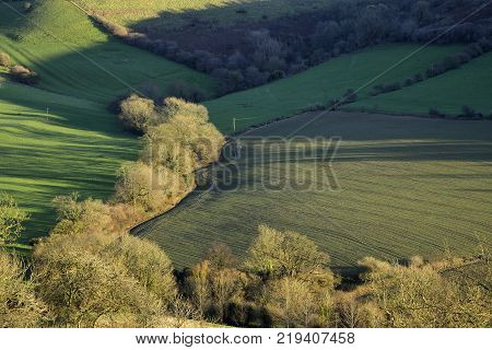 Winter Evening Sun on snaking hedge Whitcombe below Cadbury Castle Hill Fort South Somerset