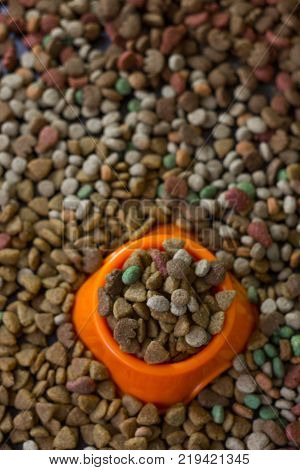 Orange plastic bowl filled with dry pet food surrounded by dry food for cat and dogs