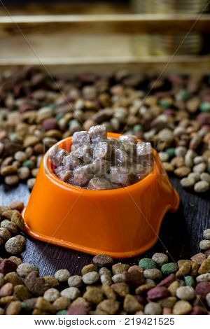 Wet canned pet food in a bowl surrounded by dry food
