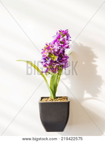 Artificial Flowers Or Arpophyllum In Small Pot