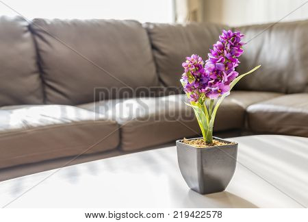 Artificial Flowers Or Arpophyllum In Small Pot