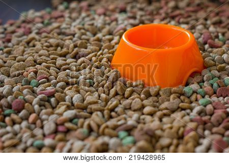 Empty plastic bowl surrounded by dry pet food
