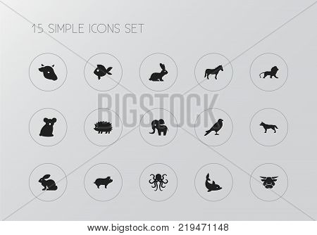 Set of 15 editable zoo icons. Includes symbols such as bull, cow, rabbit and more. Can be used for web, mobile, UI and infographic design.