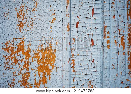Wooden wall with blue paint is severely weathered and peeling. close up