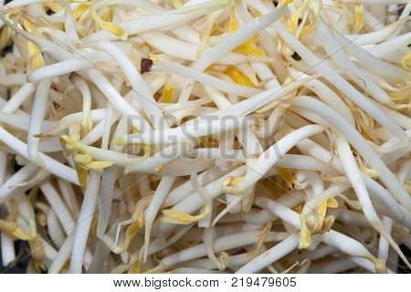 close up mung bean sprout on black background