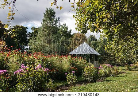 Gazebo among the flowers in the summer Park