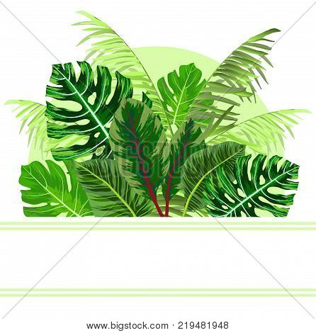 Tropical jungle plant leaves background. Vector illustration