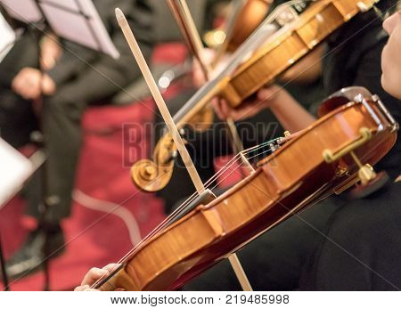 Detail of violin being played by a musician
