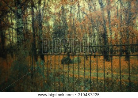 Autumn street on a rainy day view through wet glass