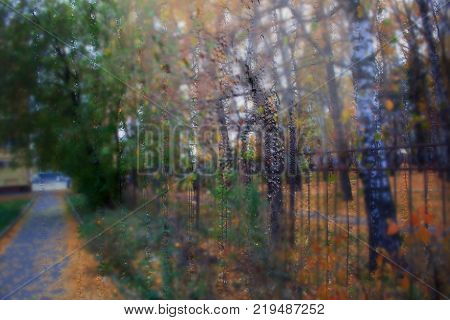 Autumn street on a rainy day view through wet glass