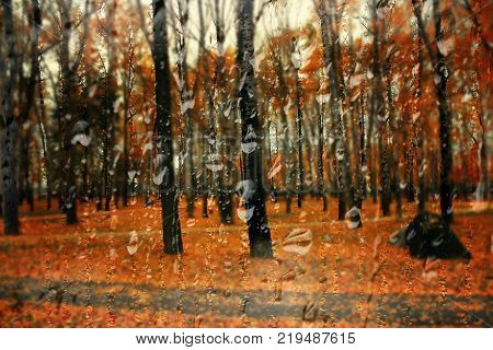 Autumn street on a rainy day view through wet glass