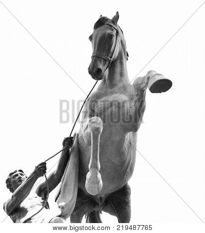 Statue of the conquest of a horse on the Anichkov Bridge in St.Petersburg Russia. Black and white.