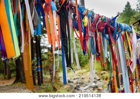 Colored Ribbons To The Holy Tree. Zalaal. Near Source Of Mineral Water. Arshan. Russia