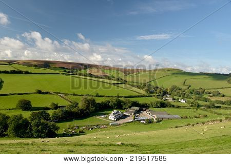 Farmland landscape of fields and hedges near Malmsmead in Doone Valley, Exmoor, North Devon