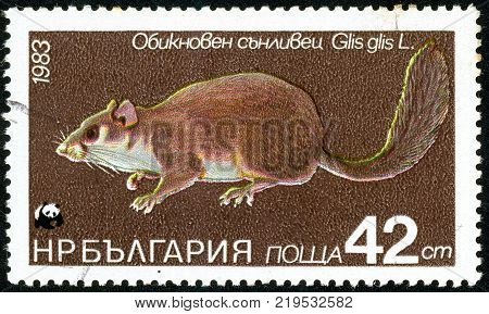 Ukraine - circa 2017: A postage stamp printed in Bulgaria shows drawing Edible Dormouse Glis glis. Series: Flora and fauna. Circa 1983.