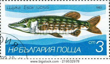 Ukraine - circa 2017: A postage stamp printed in Bulgaria shows drawing fish Northern Pike Esox lucius. Series: Freshwater fishes. Circa 1983.